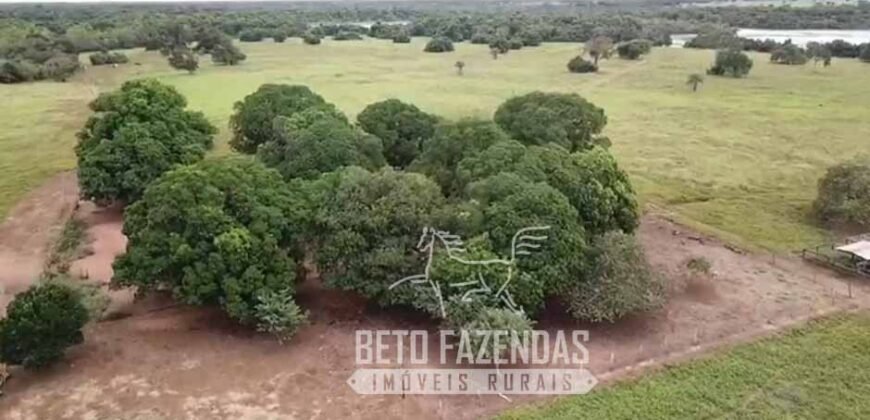 Fazenda Excepcional 17.602 Hectares Dupla Aptidão Infraestrutura Completa no Tocantins