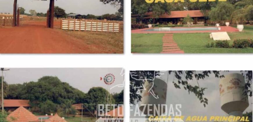 Fazenda Excepcional 17.602 Hectares Dupla Aptidão Infraestrutura Completa no Tocantins