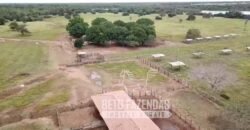 Fazenda Excepcional 17.602 Hectares Dupla Aptidão Infraestrutura Completa no Tocantins