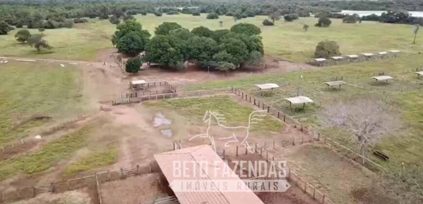 Fazenda Excepcional 17.602 Hectares Dupla Aptidão Infraestrutura Completa no Tocantins