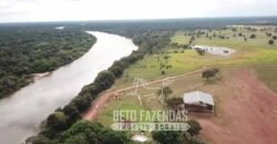 Fazenda Excepcional 17.602 Hectares Dupla Aptidão Infraestrutura Completa no Tocantins