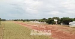Fazenda Excepcional 17.602 Hectares Dupla Aptidão Infraestrutura Completa no Tocantins