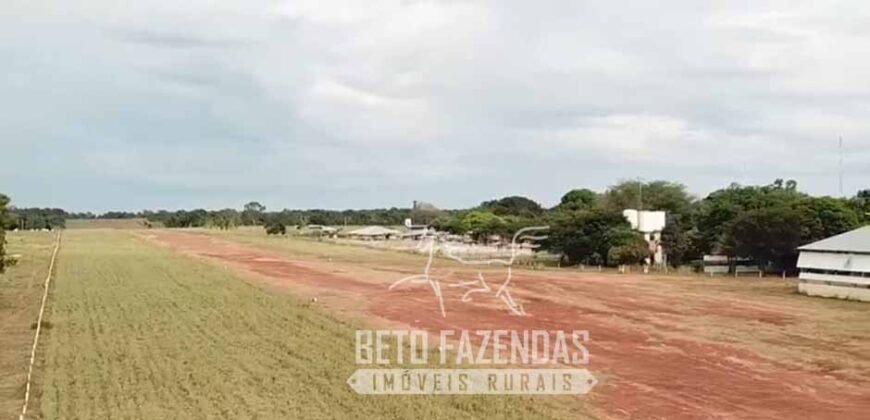 Fazenda Excepcional 17.602 Hectares Dupla Aptidão Infraestrutura Completa no Tocantins