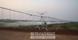 Fazenda Excepcional 17.602 Hectares Dupla Aptidão Infraestrutura Completa no Tocantins
