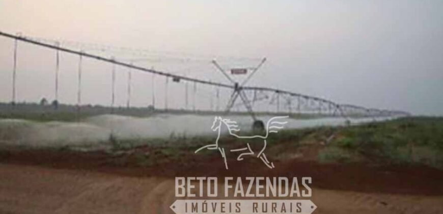 Fazenda Excepcional 17.602 Hectares Dupla Aptidão Infraestrutura Completa no Tocantins