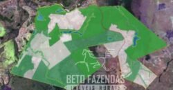 Fazenda Excepcional 17.602 Hectares Dupla Aptidão Infraestrutura Completa no Tocantins