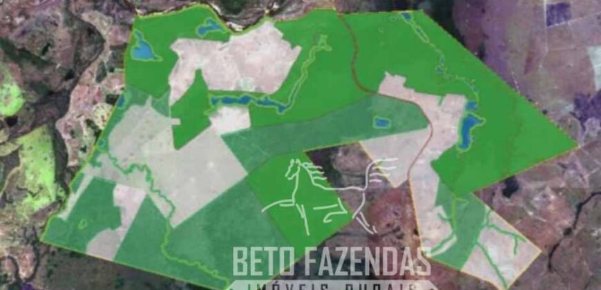 Fazenda Excepcional 17.602 Hectares Dupla Aptidão Infraestrutura Completa no Tocantins