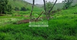 Fazenda Exclusiva 605 hectares | Cardoso Moreira/ RJ