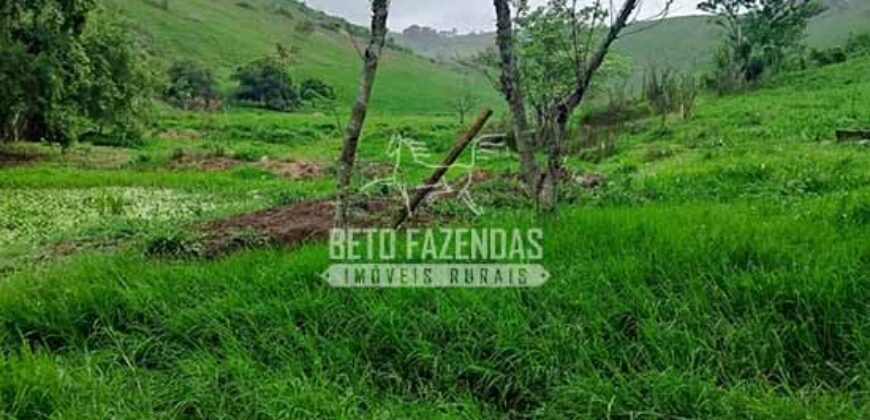 Fazenda Exclusiva 605 hectares | Cardoso Moreira/ RJ