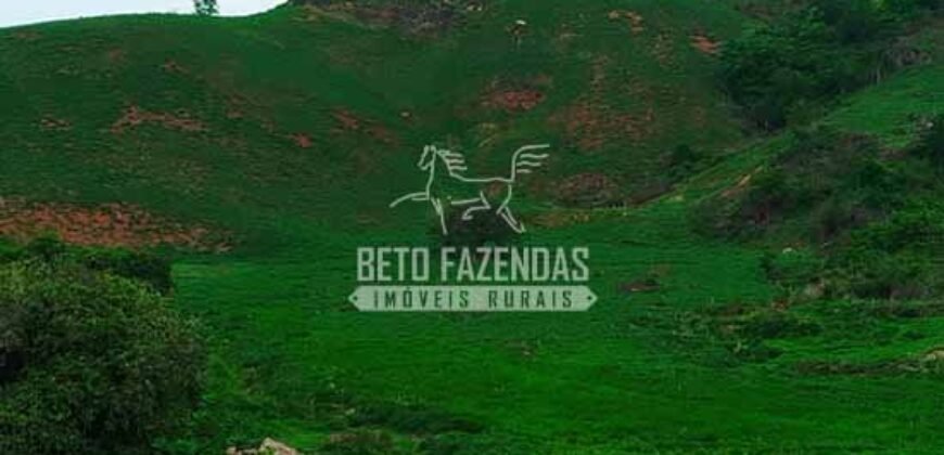 Fazenda Exclusiva 605 hectares | Cardoso Moreira/ RJ