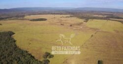 Fazenda Excepcional à Venda 10.312 hectares Potencial para Lavoura | Marcelândia/ MT Fazenda Excepcional à Venda 10.312 hectares Potencial para Lavoura | Marcelândia/ MT