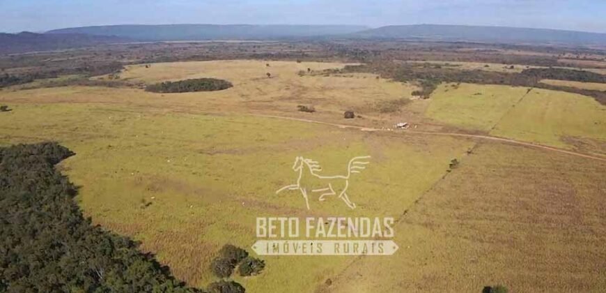 Fazenda Excepcional à Venda 10.312 hectares Potencial para Lavoura | Marcelândia/ MT Fazenda Excepcional à Venda 10.312 hectares Potencial para Lavoura | Marcelândia/ MT