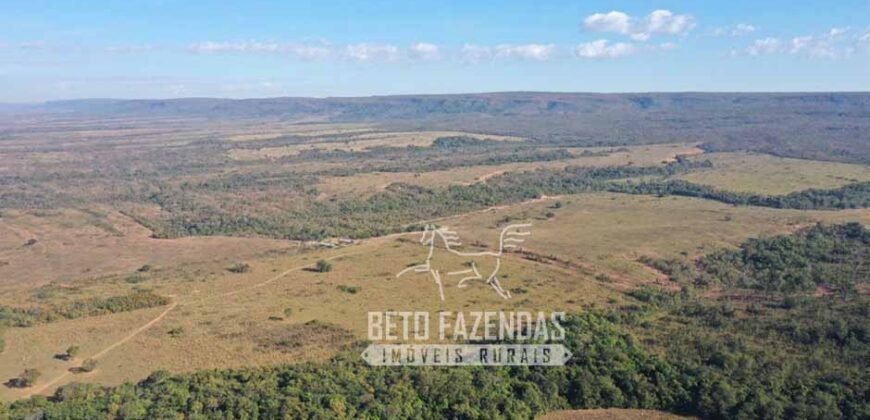 Fazenda Excepcional à Venda 10.312 hectares Potencial para Lavoura | Marcelândia/ MT Fazenda Excepcional à Venda 10.312 hectares Potencial para Lavoura | Marcelândia/ MT