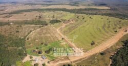 Fazenda Excepcional à Venda 10.312 hectares Potencial para Lavoura | Marcelândia/ MT Fazenda Excepcional à Venda 10.312 hectares Potencial para Lavoura | Marcelândia/ MT