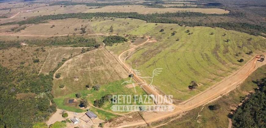 Fazenda Excepcional à Venda 10.312 hectares Potencial para Lavoura | Marcelândia/ MT Fazenda Excepcional à Venda 10.312 hectares Potencial para Lavoura | Marcelândia/ MT