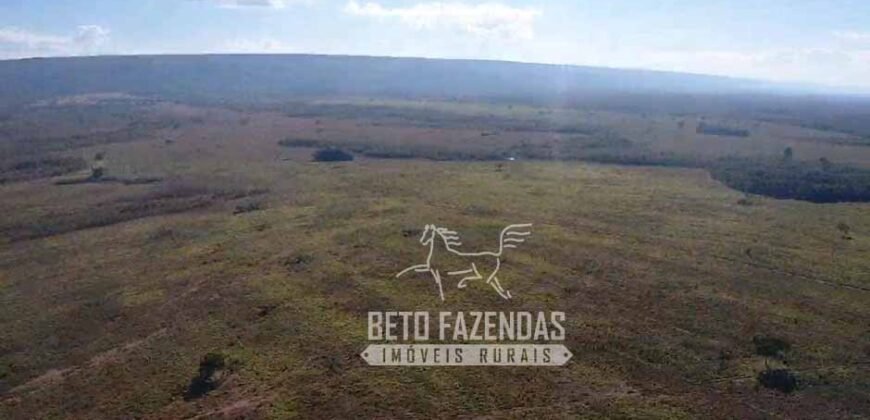Fazenda Excepcional à Venda 10.312 hectares Potencial para Lavoura | Marcelândia/ MT Fazenda Excepcional à Venda 10.312 hectares Potencial para Lavoura | Marcelândia/ MT