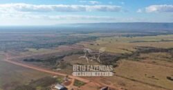 Fazenda Excepcional à Venda 10.312 hectares Potencial para Lavoura | Marcelândia/ MT Fazenda Excepcional à Venda 10.312 hectares Potencial para Lavoura | Marcelândia/ MT
