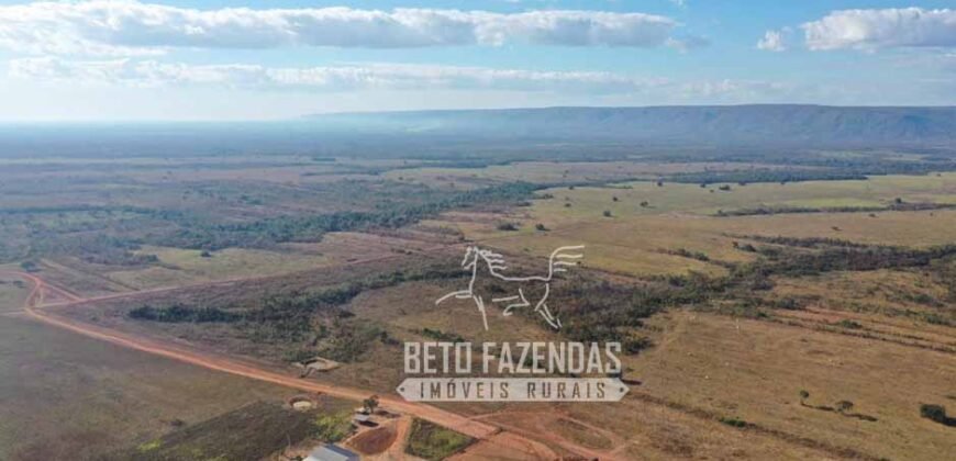 Fazenda Excepcional à Venda 10.312 hectares Potencial para Lavoura | Marcelândia/ MT Fazenda Excepcional à Venda 10.312 hectares Potencial para Lavoura | Marcelândia/ MT