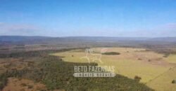 Fazenda Excepcional à Venda 10.312 hectares Potencial para Lavoura | Marcelândia/ MT Fazenda Excepcional à Venda 10.312 hectares Potencial para Lavoura | Marcelândia/ MT