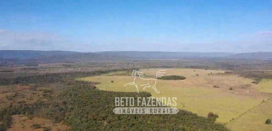 Fazenda Excepcional à Venda 10.312 hectares Potencial para Lavoura | Marcelândia/ MT Fazenda Excepcional à Venda 10.312 hectares Potencial para Lavoura | Marcelândia/ MT