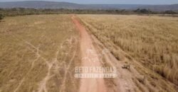 Fazenda Excepcional à Venda 10.312 hectares Potencial para Lavoura | Marcelândia/ MT Fazenda Excepcional à Venda 10.312 hectares Potencial para Lavoura | Marcelândia/ MT