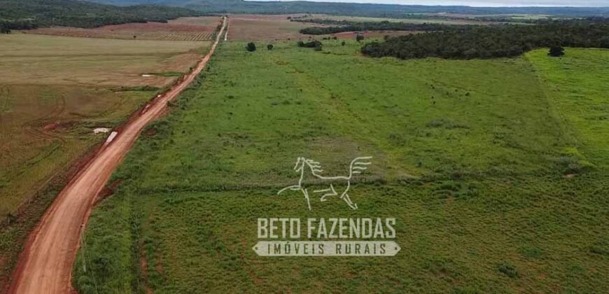 Fazenda Excepcional à Venda 10.312 hectares Potencial para Lavoura | Marcelândia/ MT Fazenda Excepcional à Venda 10.312 hectares Potencial para Lavoura | Marcelândia/ MT