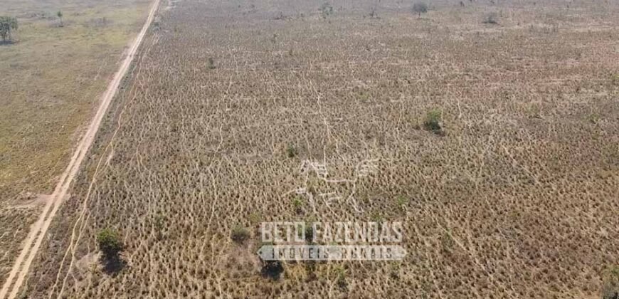 Fazenda Excepcional à Venda 10.312 hectares Potencial para Lavoura | Marcelândia/ MT Fazenda Excepcional à Venda 10.312 hectares Potencial para Lavoura | Marcelândia/ MT
