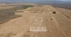 Fazenda Excepcional à Venda 10.312 hectares Potencial para Lavoura | Marcelândia/ MT Fazenda Excepcional à Venda 10.312 hectares Potencial para Lavoura | Marcelândia/ MT