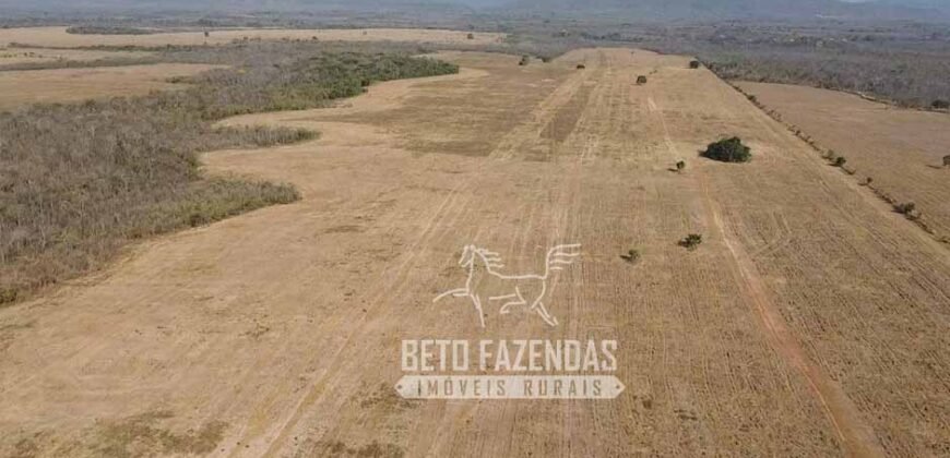 Fazenda Excepcional à Venda 10.312 hectares Potencial para Lavoura | Marcelândia/ MT Fazenda Excepcional à Venda 10.312 hectares Potencial para Lavoura | Marcelândia/ MT