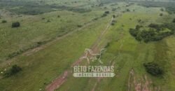 Fazenda Excepcional à Venda 10.312 hectares Potencial para Lavoura | Marcelândia/ MT Fazenda Excepcional à Venda 10.312 hectares Potencial para Lavoura | Marcelândia/ MT