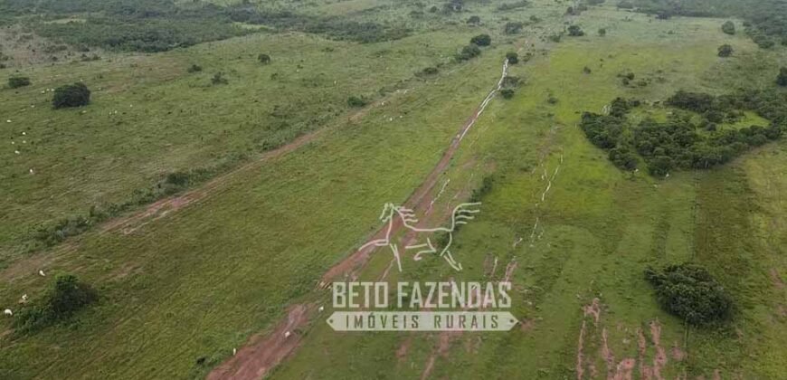 Fazenda Excepcional à Venda 10.312 hectares Potencial para Lavoura | Marcelândia/ MT Fazenda Excepcional à Venda 10.312 hectares Potencial para Lavoura | Marcelândia/ MT