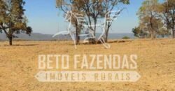 Fazenda Excepcional à Venda 10.312 hectares Potencial para Lavoura | Marcelândia/ MT Fazenda Excepcional à Venda 10.312 hectares Potencial para Lavoura | Marcelândia/ MT