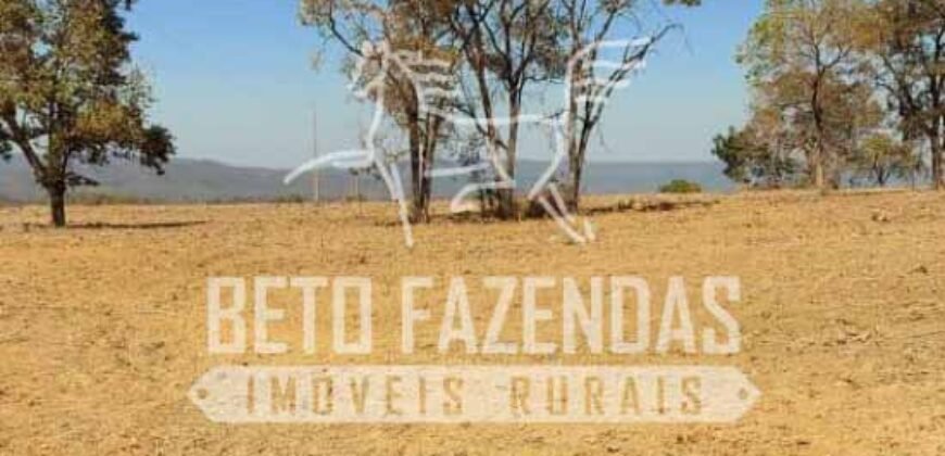 Fazenda Excepcional à Venda 10.312 hectares Potencial para Lavoura | Marcelândia/ MT Fazenda Excepcional à Venda 10.312 hectares Potencial para Lavoura | Marcelândia/ MT