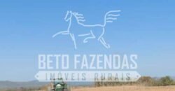 Fazenda Excepcional à Venda 10.312 hectares Potencial para Lavoura | Marcelândia/ MT Fazenda Excepcional à Venda 10.312 hectares Potencial para Lavoura | Marcelândia/ MT