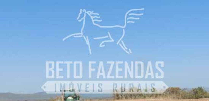Fazenda Excepcional à Venda 10.312 hectares Potencial para Lavoura | Marcelândia/ MT Fazenda Excepcional à Venda 10.312 hectares Potencial para Lavoura | Marcelândia/ MT