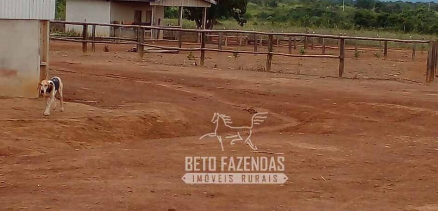 Fazenda Excepcional à Venda 10.312 hectares Potencial para Lavoura | Marcelândia/ MT Fazenda Excepcional à Venda 10.312 hectares Potencial para Lavoura | Marcelândia/ MT