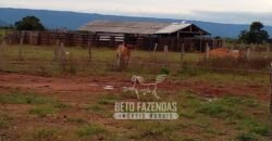 Fazenda Excepcional à Venda 10.312 hectares Potencial para Lavoura | Marcelândia/ MT Fazenda Excepcional à Venda 10.312 hectares Potencial para Lavoura | Marcelândia/ MT