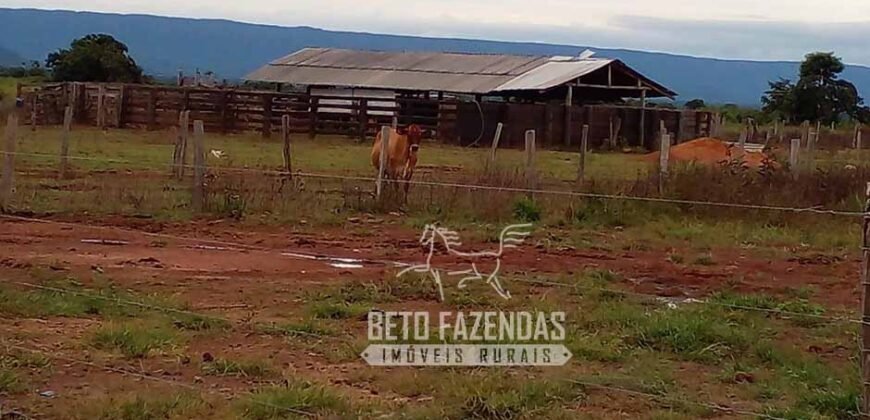 Fazenda Excepcional à Venda 10.312 hectares Potencial para Lavoura | Marcelândia/ MT Fazenda Excepcional à Venda 10.312 hectares Potencial para Lavoura | Marcelândia/ MT