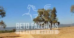 Fazenda Excepcional à Venda 10.312 hectares Potencial para Lavoura | Marcelândia/ MT Fazenda Excepcional à Venda 10.312 hectares Potencial para Lavoura | Marcelândia/ MT