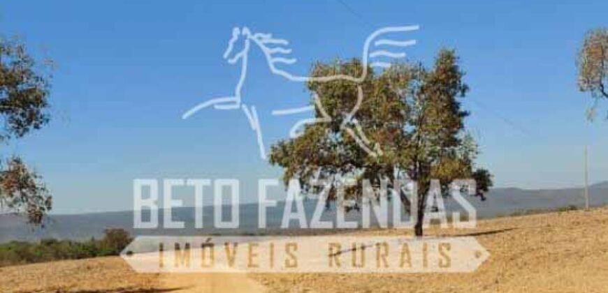 Fazenda Excepcional à Venda 10.312 hectares Potencial para Lavoura | Marcelândia/ MT Fazenda Excepcional à Venda 10.312 hectares Potencial para Lavoura | Marcelândia/ MT