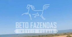 Fazenda Excepcional à Venda 10.312 hectares Potencial para Lavoura | Marcelândia/ MT Fazenda Excepcional à Venda 10.312 hectares Potencial para Lavoura | Marcelândia/ MT