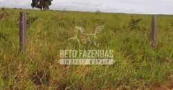 Fazenda Excepcional à Venda 10.312 hectares Potencial para Lavoura | Marcelândia/ MT Fazenda Excepcional à Venda 10.312 hectares Potencial para Lavoura | Marcelândia/ MT