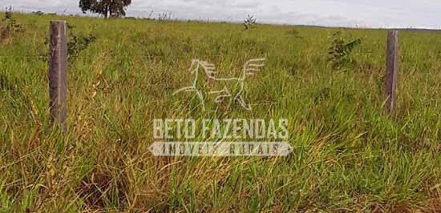 Fazenda Excepcional à Venda 10.312 hectares Potencial para Lavoura | Marcelândia/ MT Fazenda Excepcional à Venda 10.312 hectares Potencial para Lavoura | Marcelândia/ MT