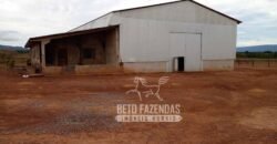 Fazenda Excepcional à Venda 10.312 hectares Potencial para Lavoura | Marcelândia/ MT Fazenda Excepcional à Venda 10.312 hectares Potencial para Lavoura | Marcelândia/ MT