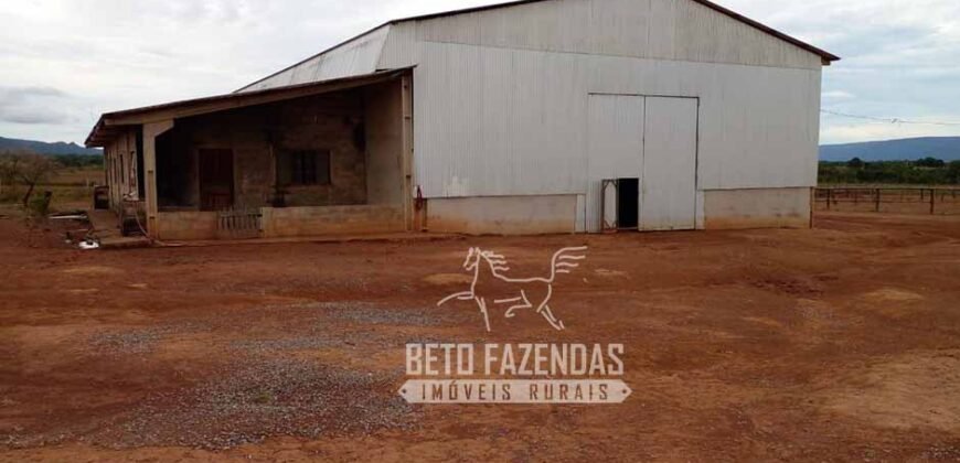 Fazenda Excepcional à Venda 10.312 hectares Potencial para Lavoura | Marcelândia/ MT Fazenda Excepcional à Venda 10.312 hectares Potencial para Lavoura | Marcelândia/ MT