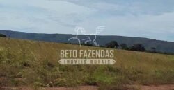Fazenda Excepcional à Venda 10.312 hectares Potencial para Lavoura | Marcelândia/ MT Fazenda Excepcional à Venda 10.312 hectares Potencial para Lavoura | Marcelândia/ MT