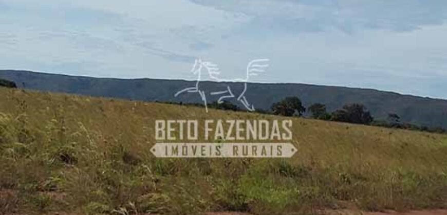 Fazenda Excepcional à Venda 10.312 hectares Potencial para Lavoura | Marcelândia/ MT Fazenda Excepcional à Venda 10.312 hectares Potencial para Lavoura | Marcelândia/ MT