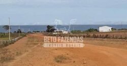 Fazenda Excepcional à Venda 10.312 hectares Potencial para Lavoura | Marcelândia/ MT Fazenda Excepcional à Venda 10.312 hectares Potencial para Lavoura | Marcelândia/ MT