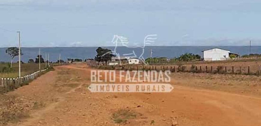 Fazenda Excepcional à Venda 10.312 hectares Potencial para Lavoura | Marcelândia/ MT Fazenda Excepcional à Venda 10.312 hectares Potencial para Lavoura | Marcelândia/ MT