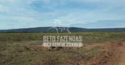 Fazenda Excepcional à Venda 10.312 hectares Potencial para Lavoura | Marcelândia/ MT Fazenda Excepcional à Venda 10.312 hectares Potencial para Lavoura | Marcelândia/ MT